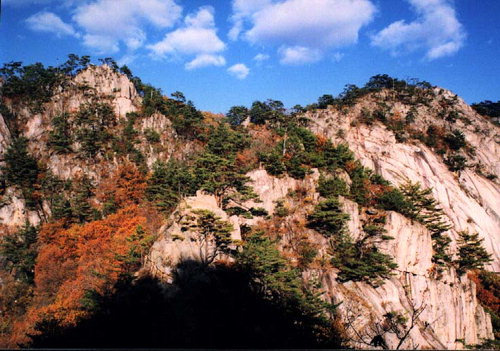 도락산 등산코스 지도