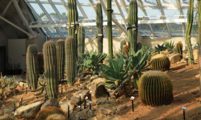 1월 충청남도 가볼만한곳 추천 ❘ 새해 신년 국내 겨울 나들이 여행지 ❘ 충청도 명소 ❘ 데이트 가족