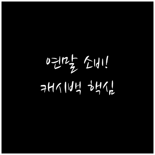 연말 소비 폭발기 페이 결제 캐시백 ..