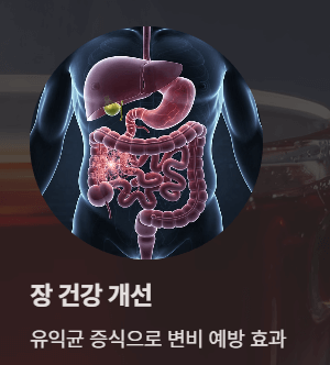 카페인 없는 건강차