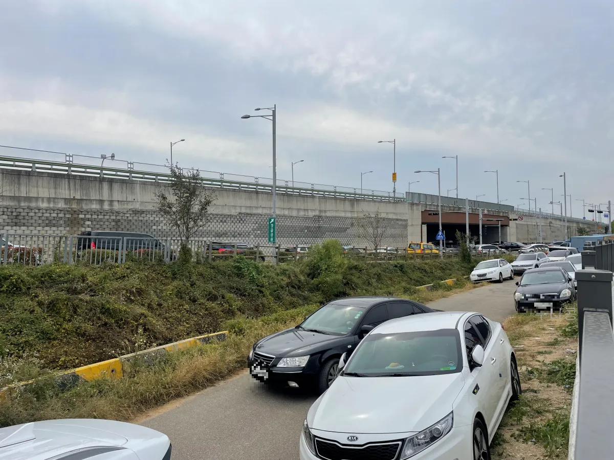 서울-근교-나들이-가볼만한곳-추천-억새-코스모스-시흥갯골생태공원-무료-주차-꿀팁