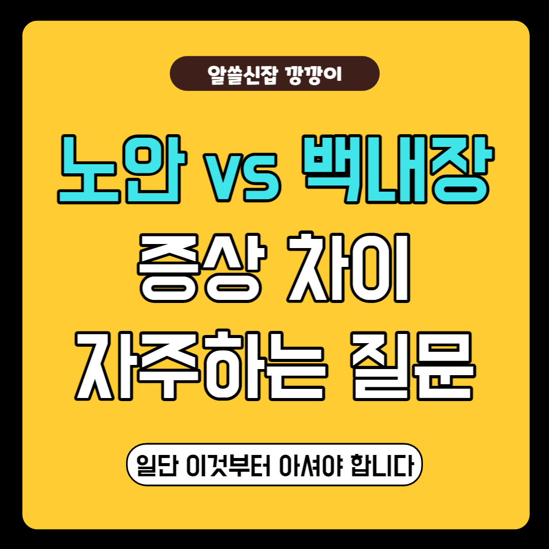 노안 백내장 증상 차이