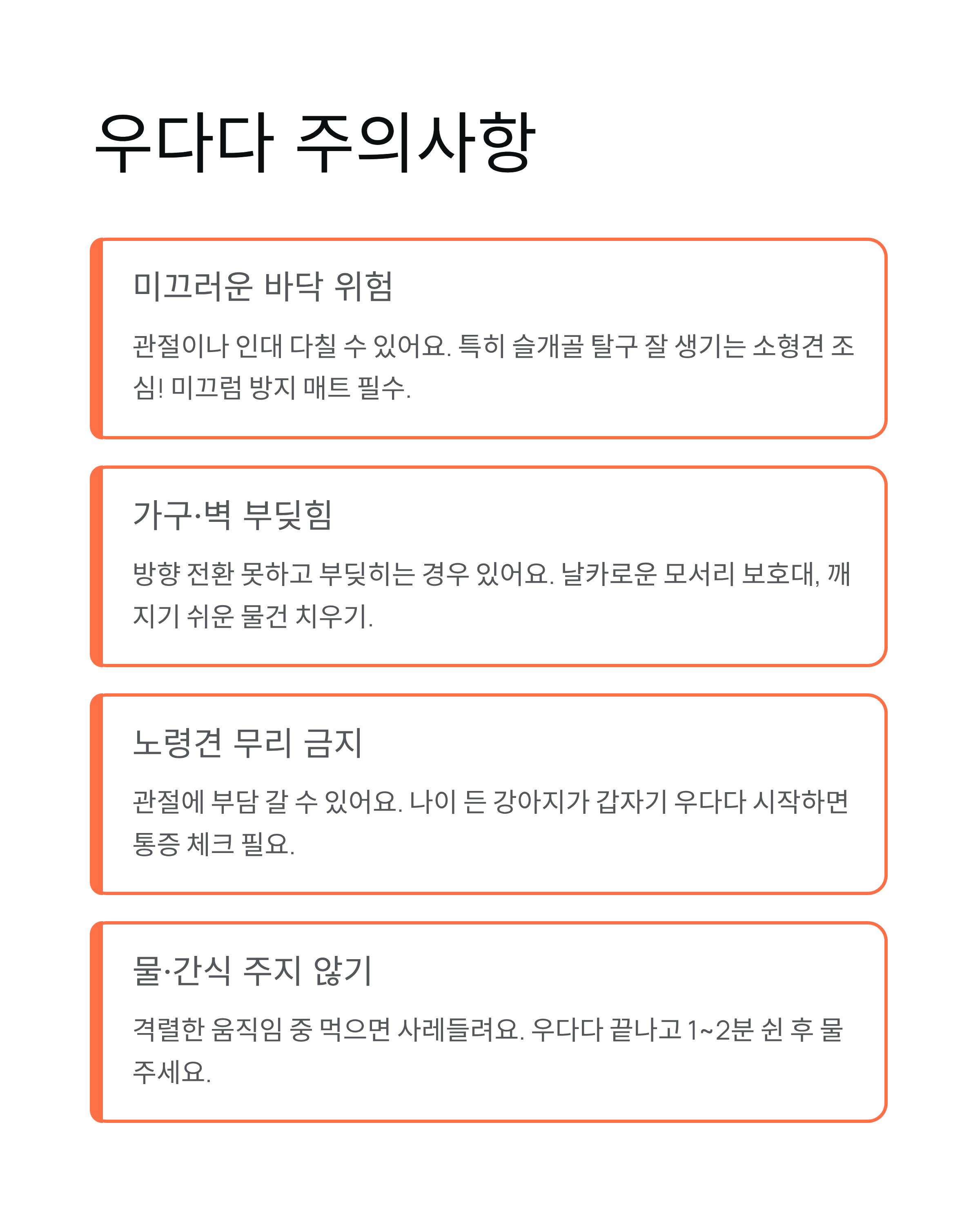 강아지 갑자기 우다다 뛰어다니는 이유? 원인·시간·대처법 총정리