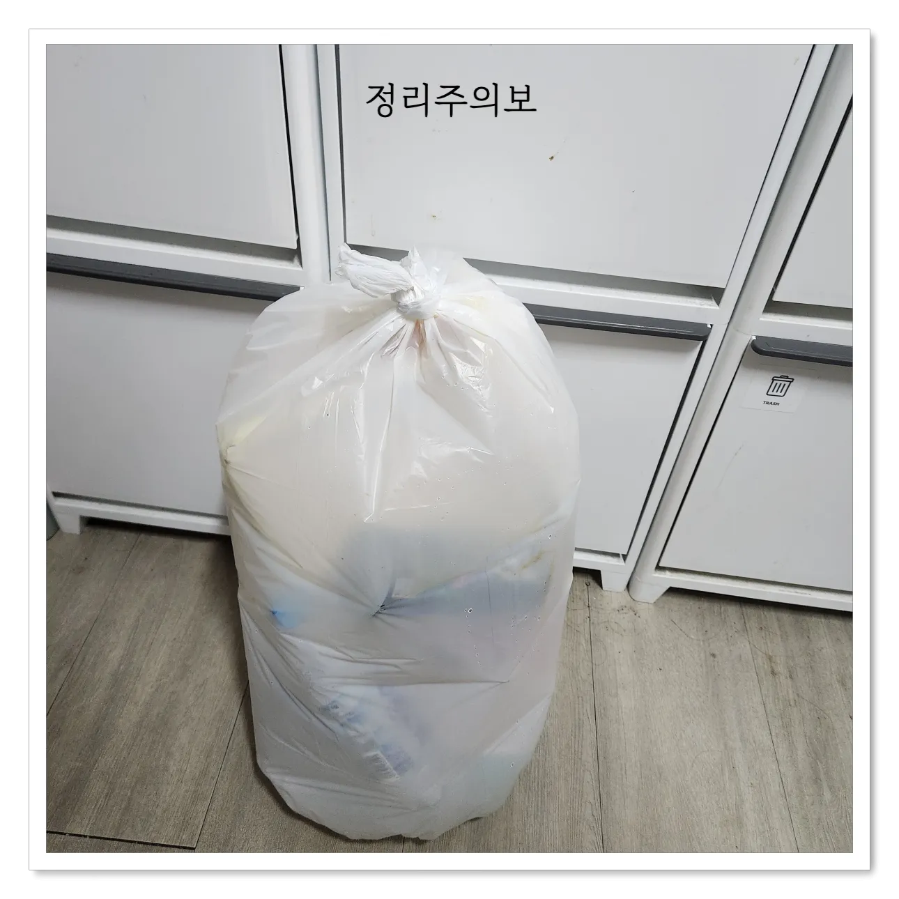 매직캔-애니블리-봉투