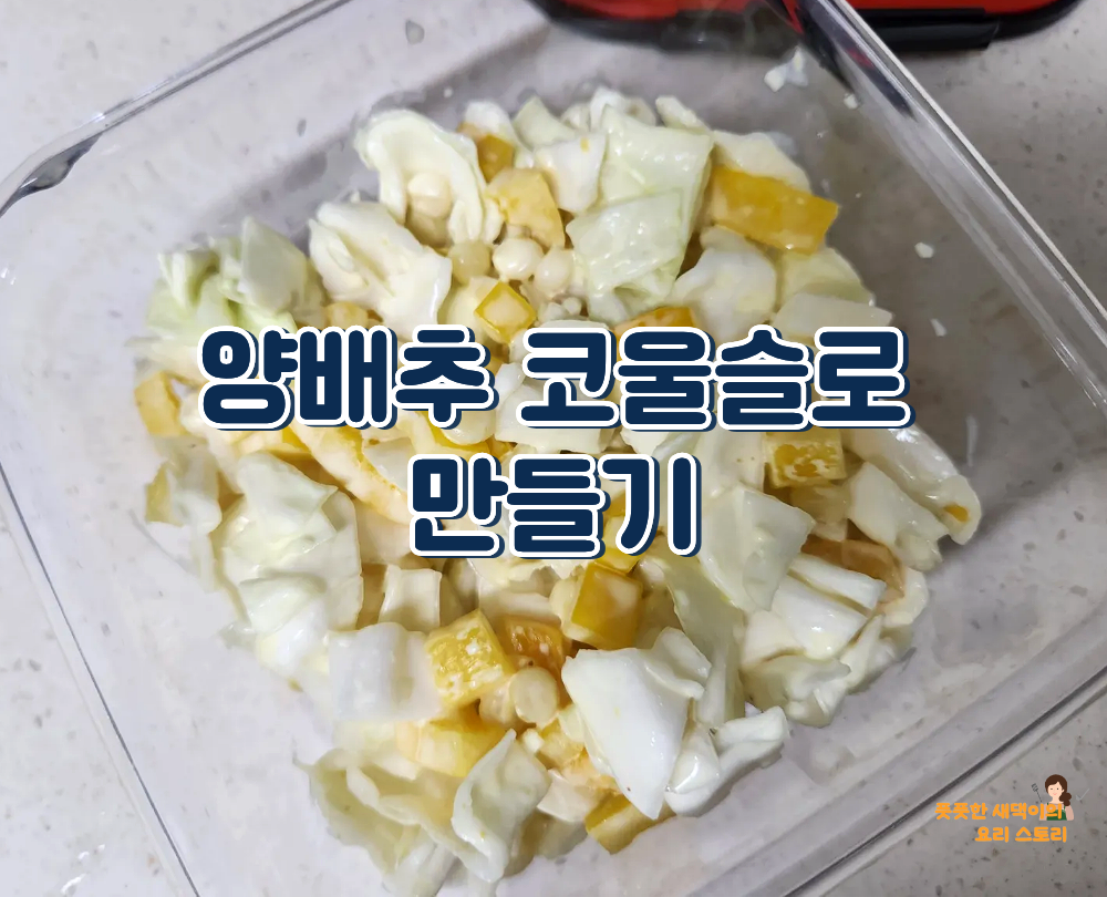 양배추 코울슬로