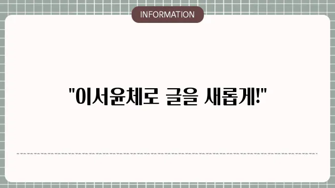 이서윤체 사용 예시