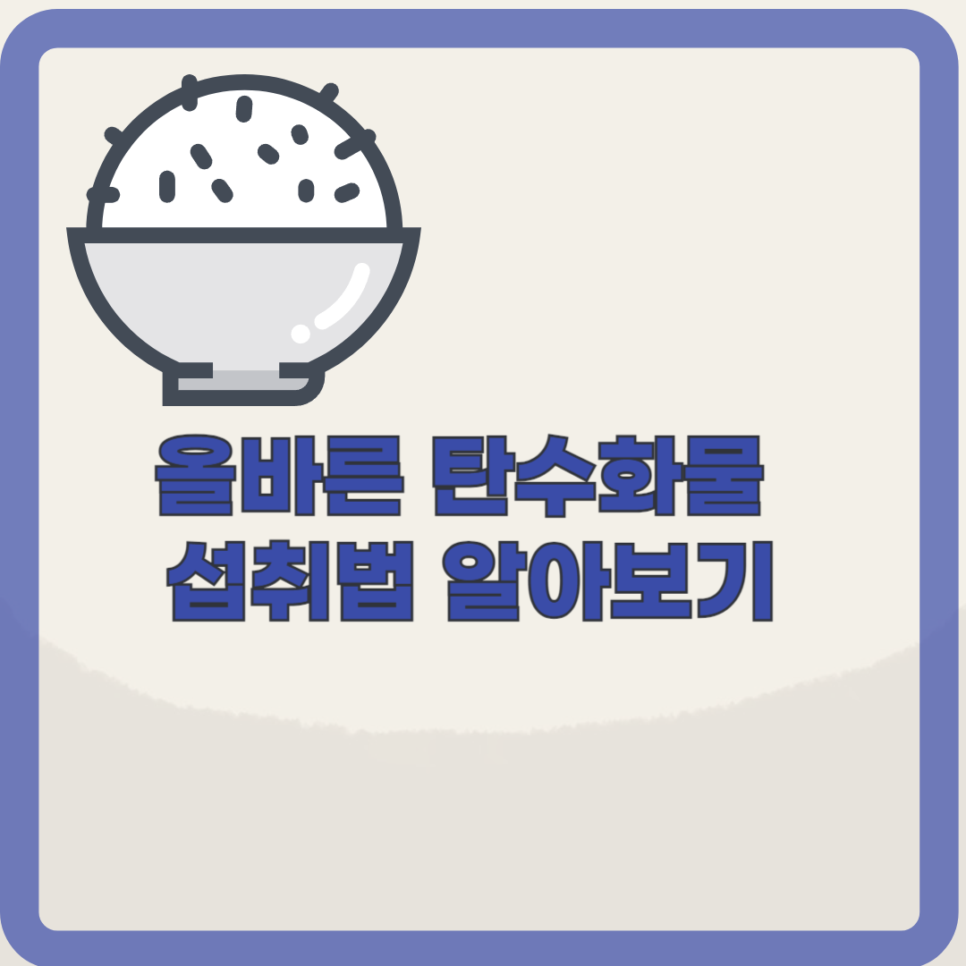 탄수화물의 진실: 건강을 위한 5가지 탄수화물 섭취법