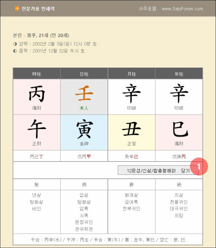 사주포럼-전문가용-만세력-풀이결과