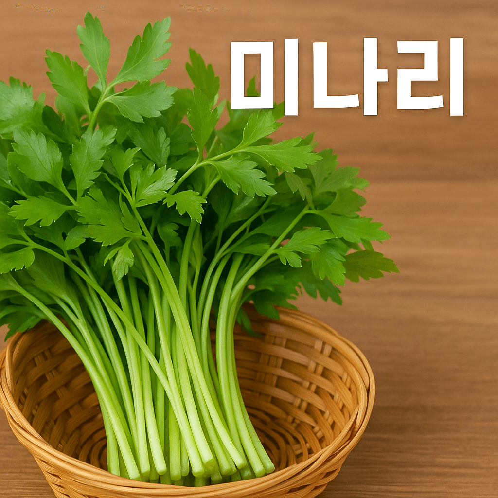 미나리효능