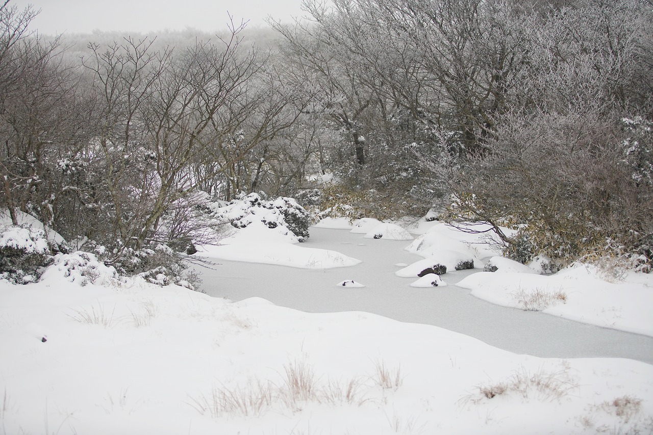마을 공동빨래터에서 이어지던 겨울 빨래날