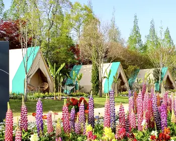 순천만 국가정원_34