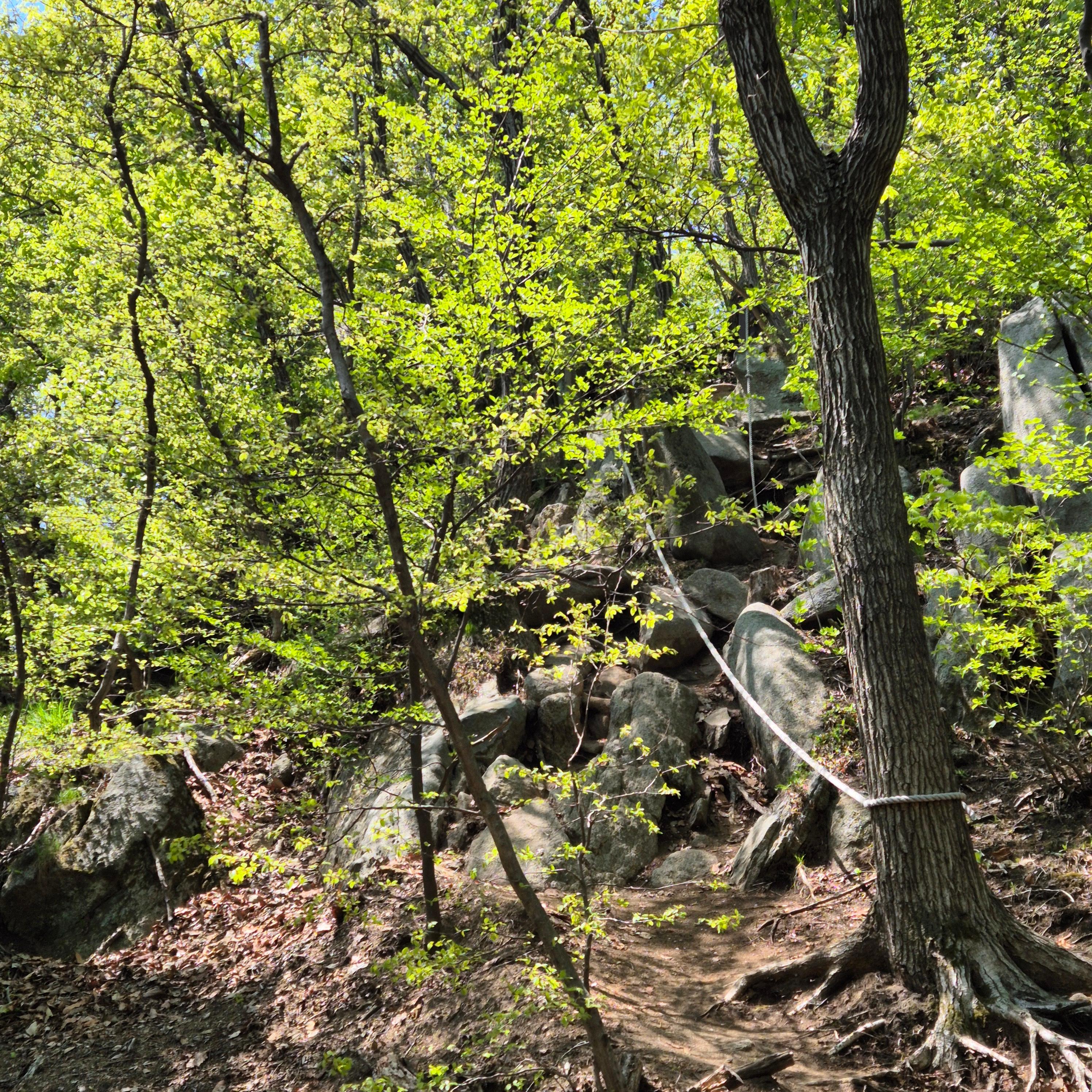 마니산 입장료&amp;#44; 마니산&amp;#44; 마니산 등산&amp;#44; 마니산 등산로&amp;#44; 강화도 마니산&amp;#44; 강화 마니산&amp;#44; 함허동천&amp;#44; 함허동천로&amp;#44; 마니산 함허동천로&amp;#44; 마니산 험허동천&amp;#44; 마니산 계곡로&amp;#44; 마니산 단군로&amp;#44; 마니산 주차장