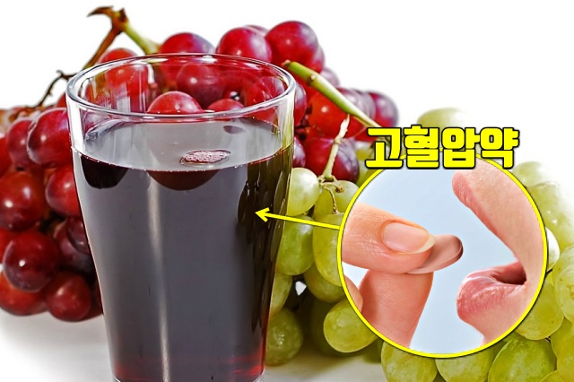 혈압약과 같이 먹으면 안되는 음식 포도주스, 생활 건강 팁줌 매일꿀정보