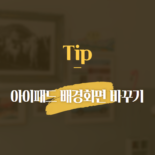 Tip 아이패드 배경화면 바꾸기