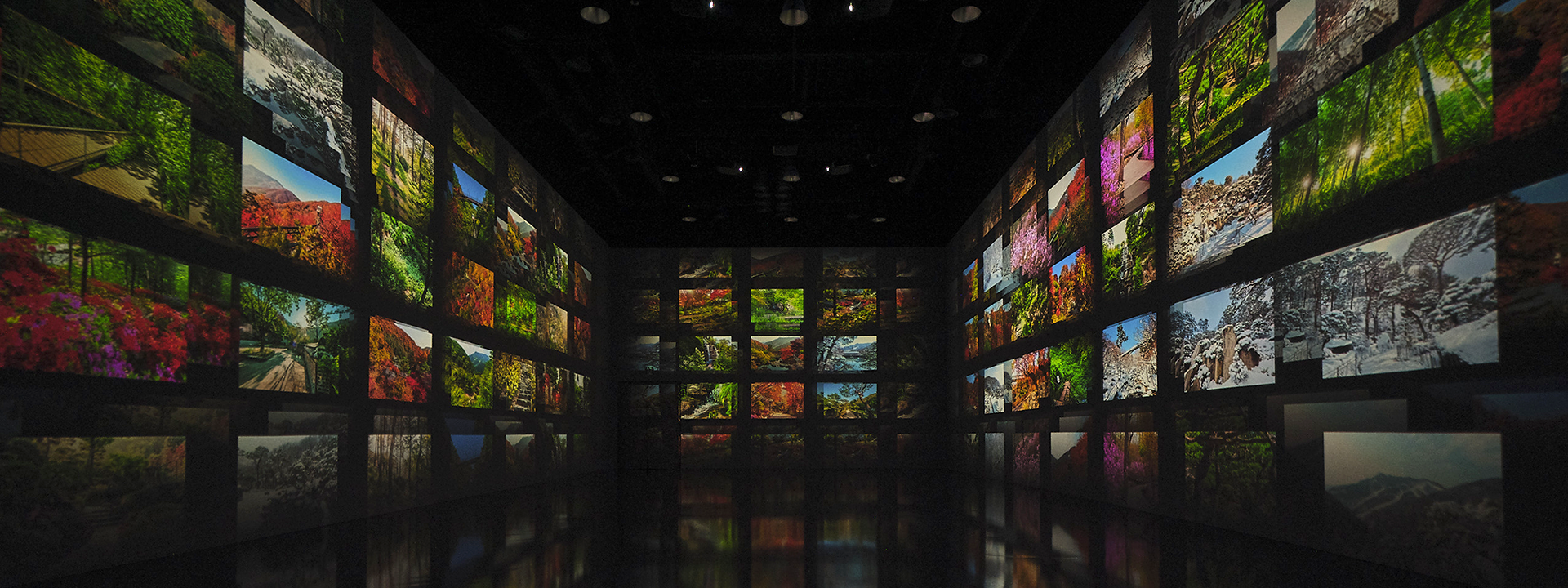 화담숲 예약 방법