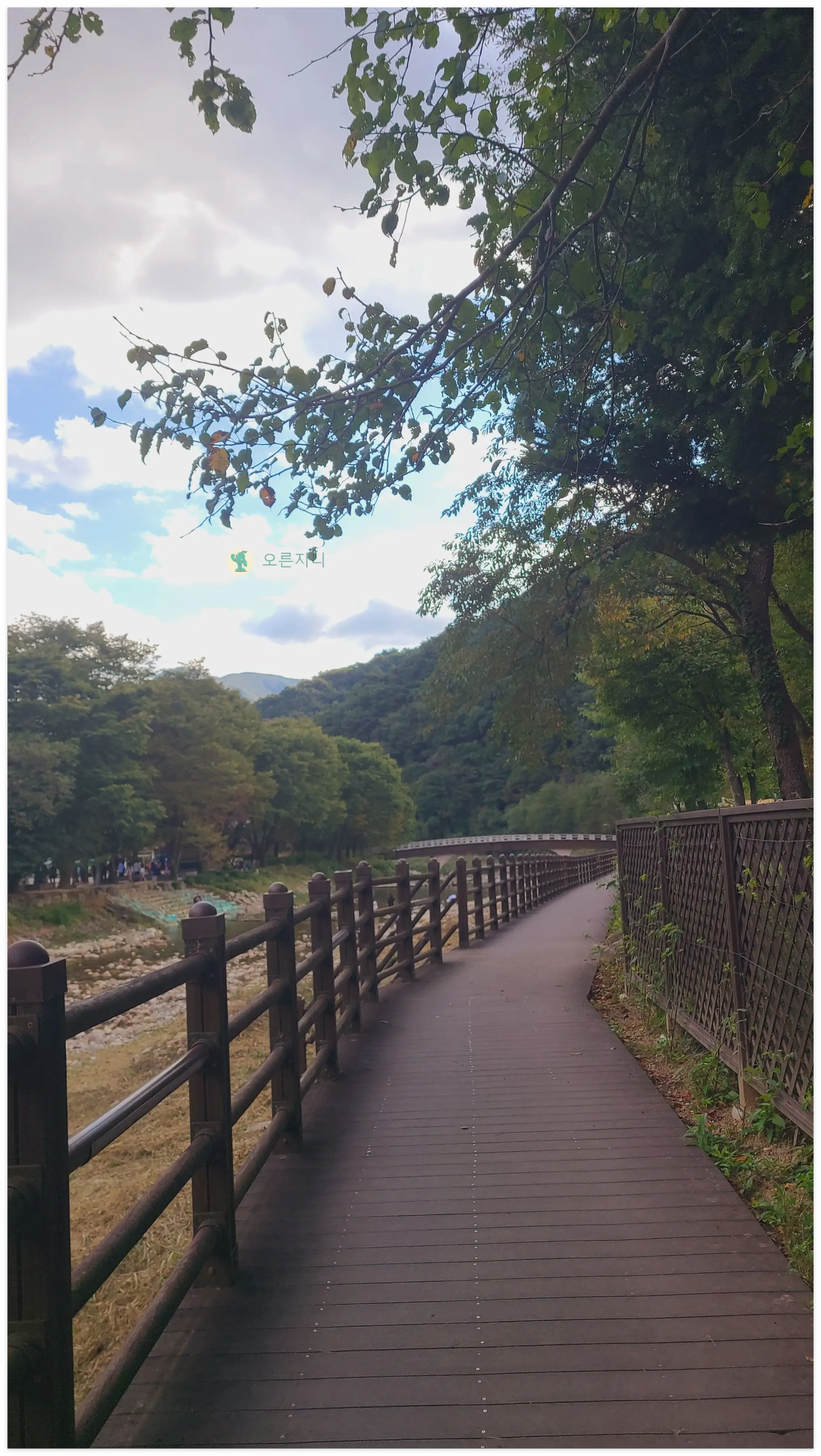 문경새재-산책로-데크