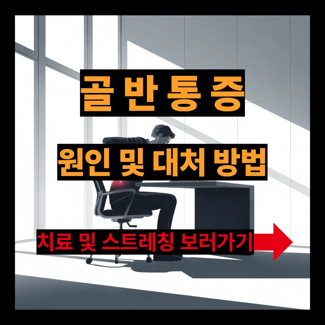 골반 통증 원인 및 대처 방법 치료및 스트레칭 알아보기