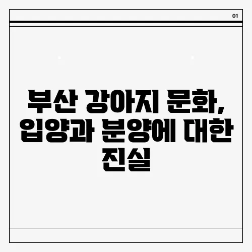 부산 강아지 문화, 입양과 분양에 대한 진실