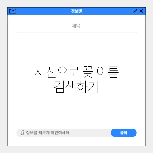 사진으로 꽃 이름 검색하기