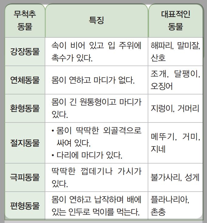 무척추동물의분류