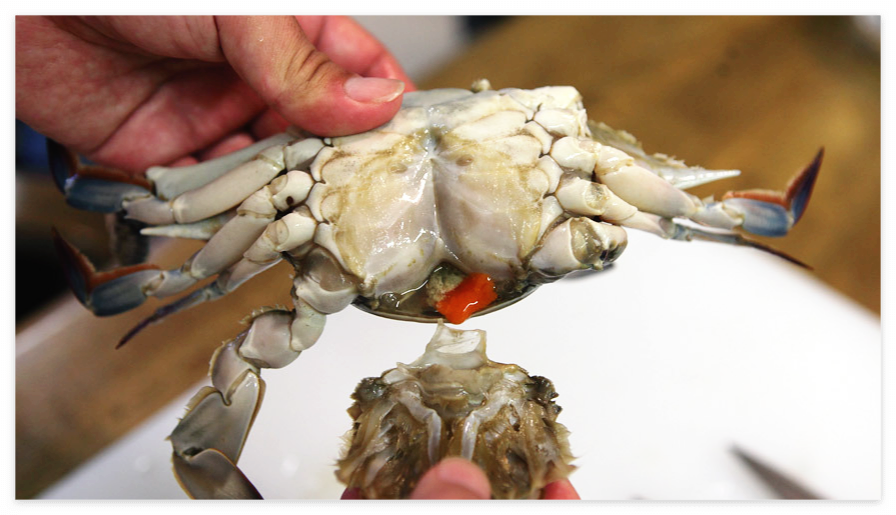 꽃게탕-끓이는-방법