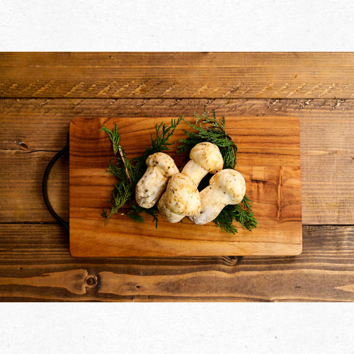 8월 제철버섯 송이버섯으로 만든 요리