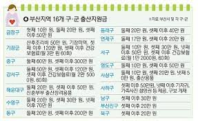 출산 지원금