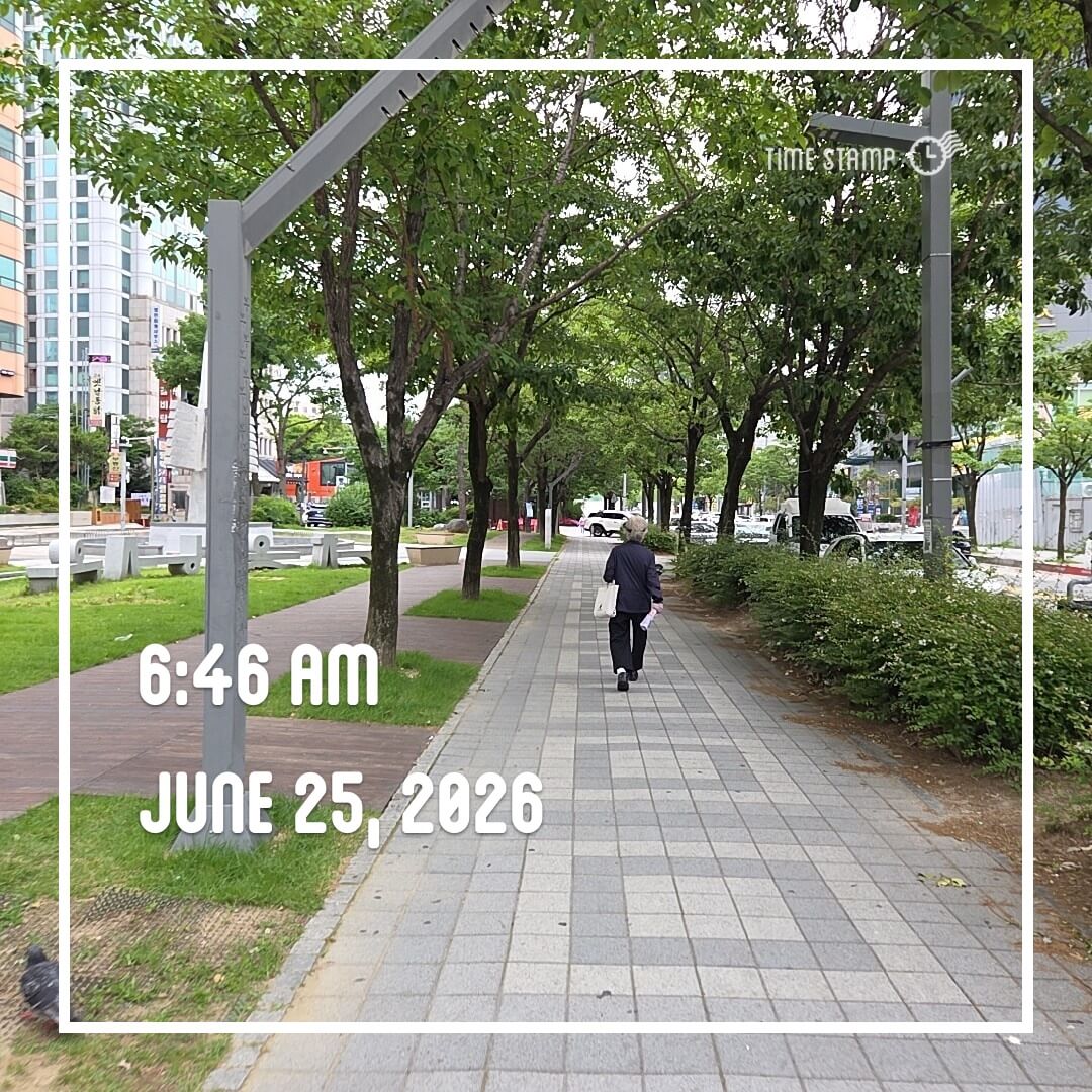2026-06-25 아침운동 사진1