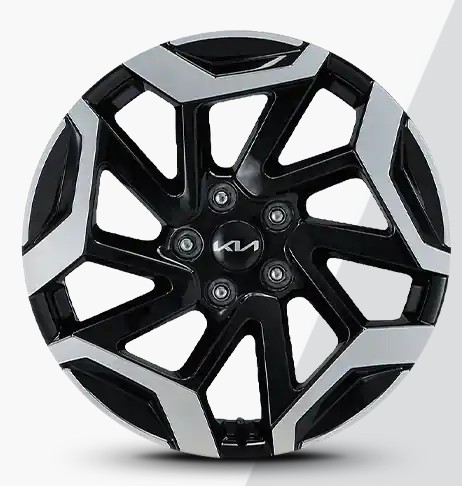 2023 더뉴 셀토스