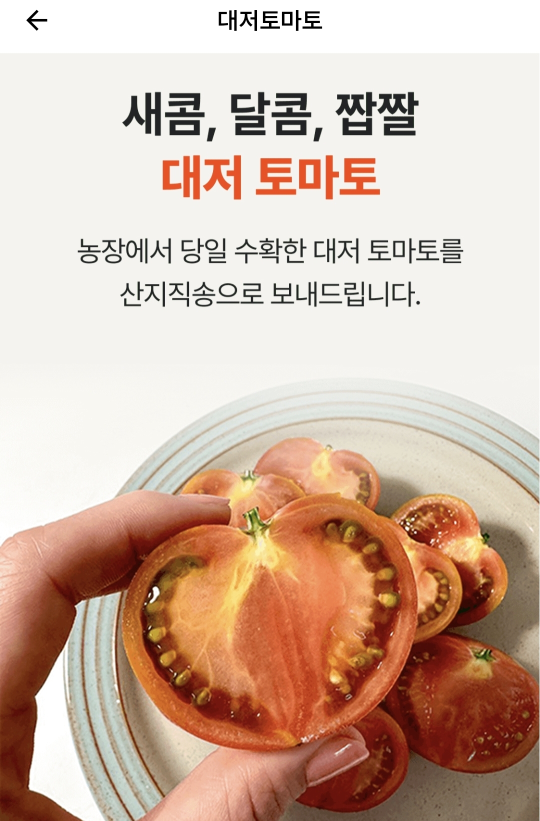 비트버니 퀴즈 2월 15일 정답 ㄷㅈㅌㅁㅌ