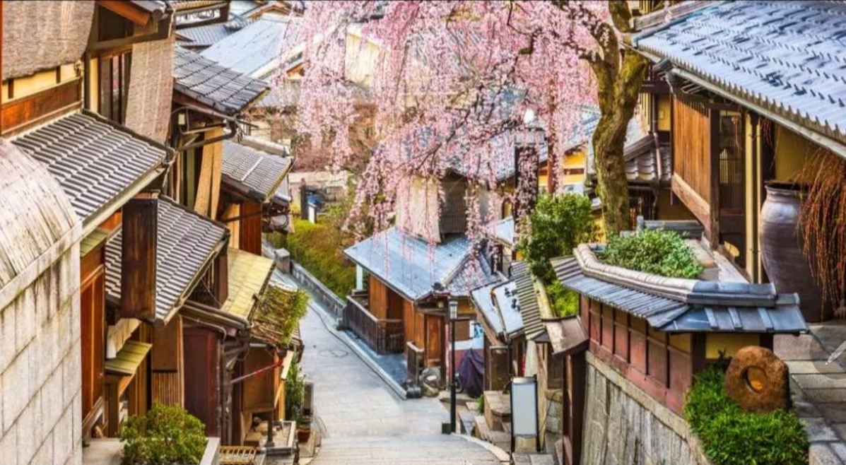 교토의 벚꽃 마을 이미지