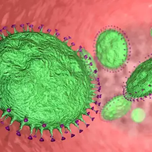 A형 독감 격리 기간