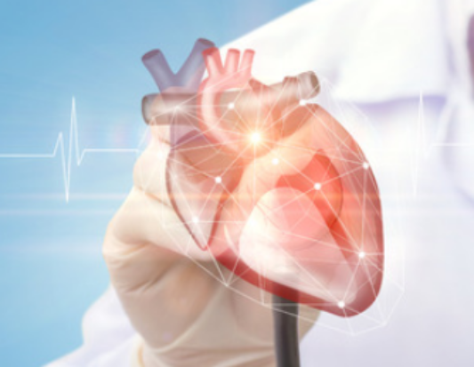 심방세동&#44; 무시하면 큰일 날 수 있는 심장의 비명