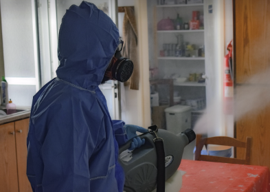 러브버그 퇴치법