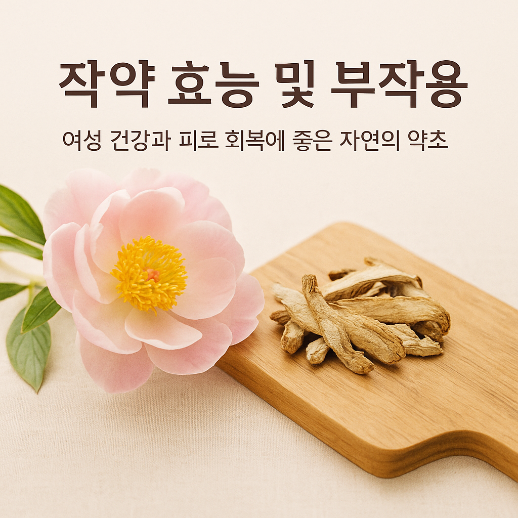 작약 효능 및 부작용 한방에서 말하는 놀라운 효과 7가지