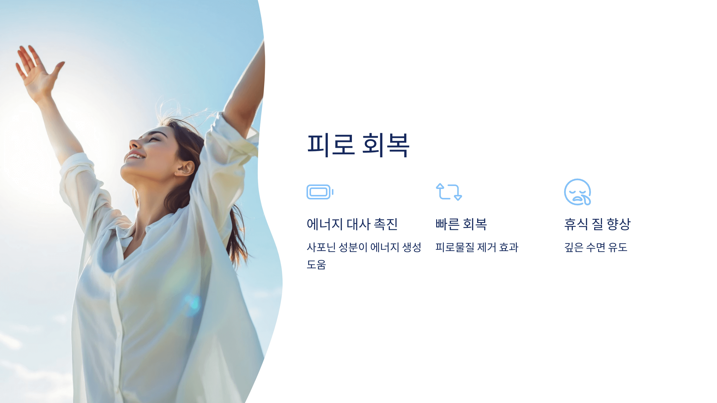 파비플로라 사진입니다.