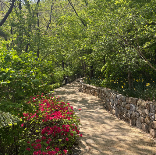 화담숲 사진