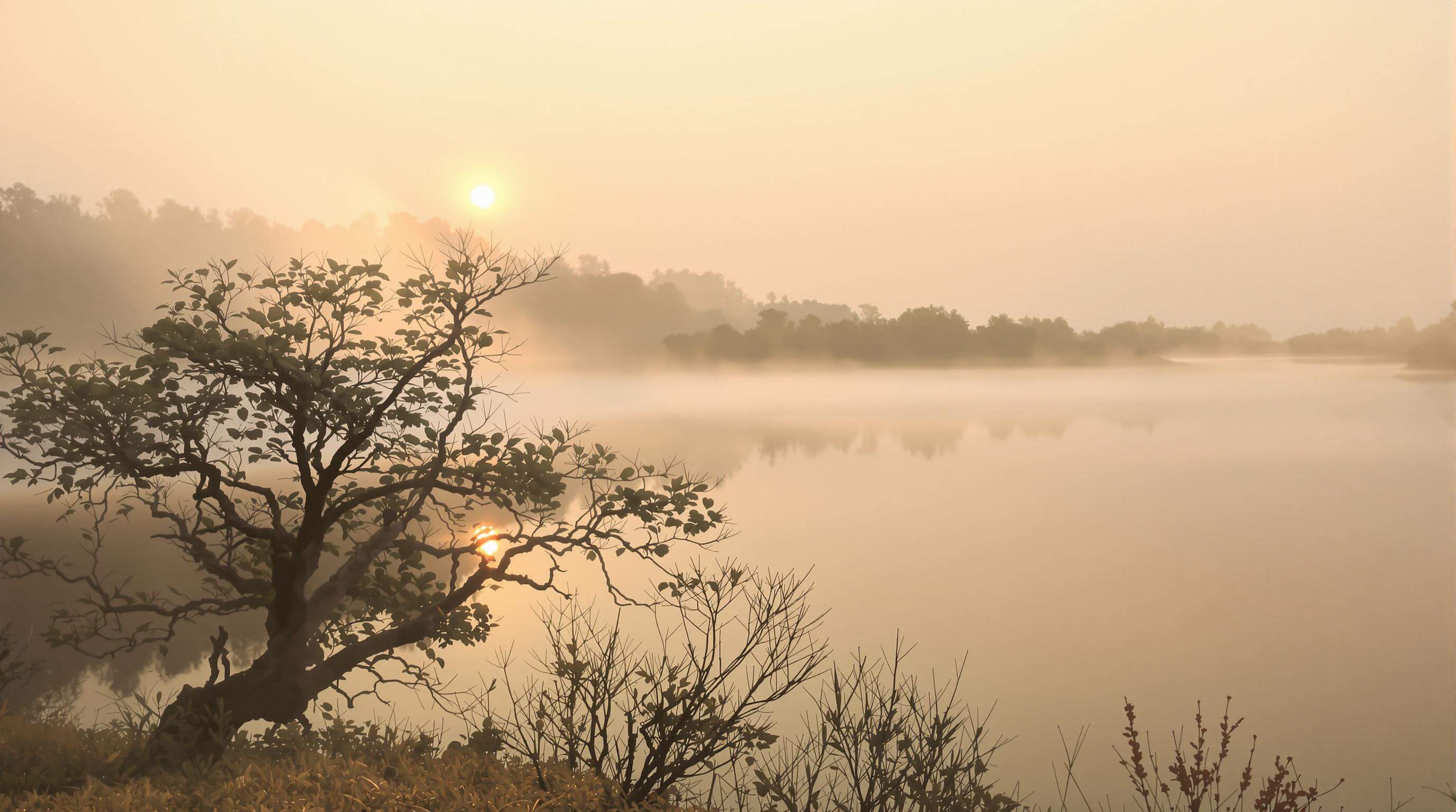 Misty morning at Dumulmeori Yangpyeong, two rivers meeting with fog rising over water, silhouette of tree, romantic sunrise