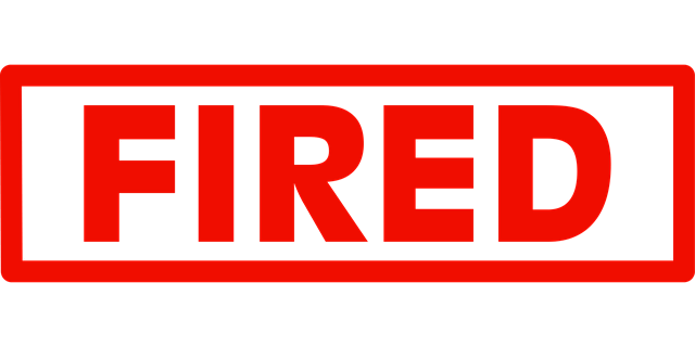 실업급여 신청 자격부터 고용24 활용 전략까지 — 2025년 가장 정확하고 실전형 가이드