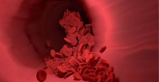 hdl 콜레스테롤 이란 무엇인지 혈관 이미지