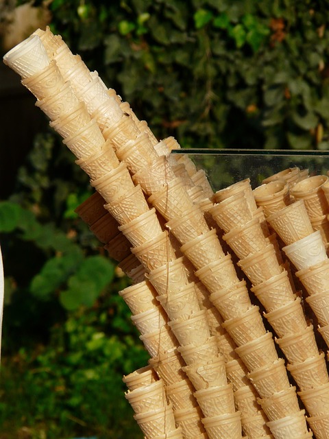 배라감사제 50%할인