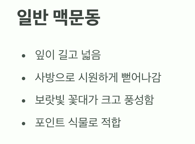 '존재감 있는 포인트'를 원한다면, 일반 맥문동