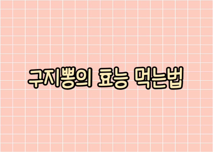 구지뽕의 효능과 먹는벙 글자이미지