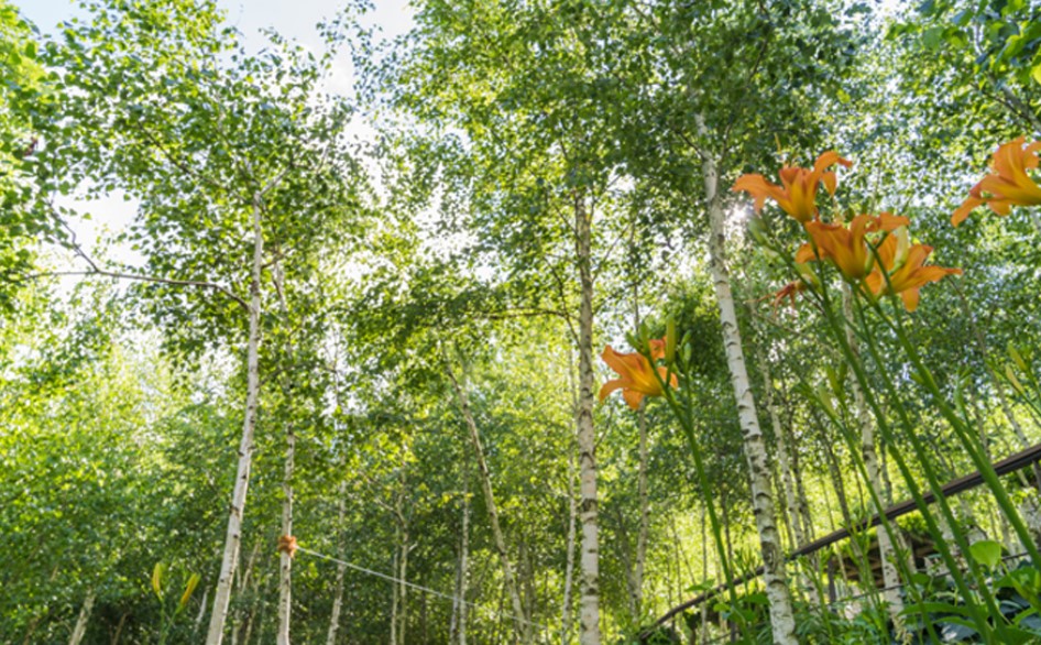 화담숲 예약하기