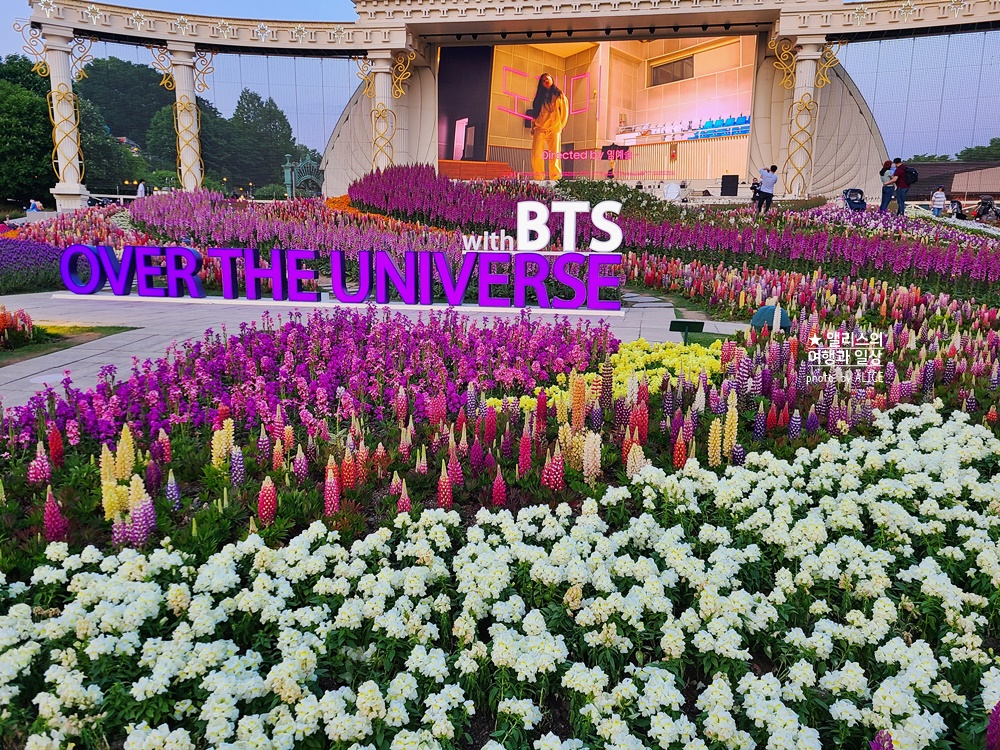 에버랜드 장미축제 2022 기본정보, 지금 개화시기, 에버랜드 플라워 아트&마켓