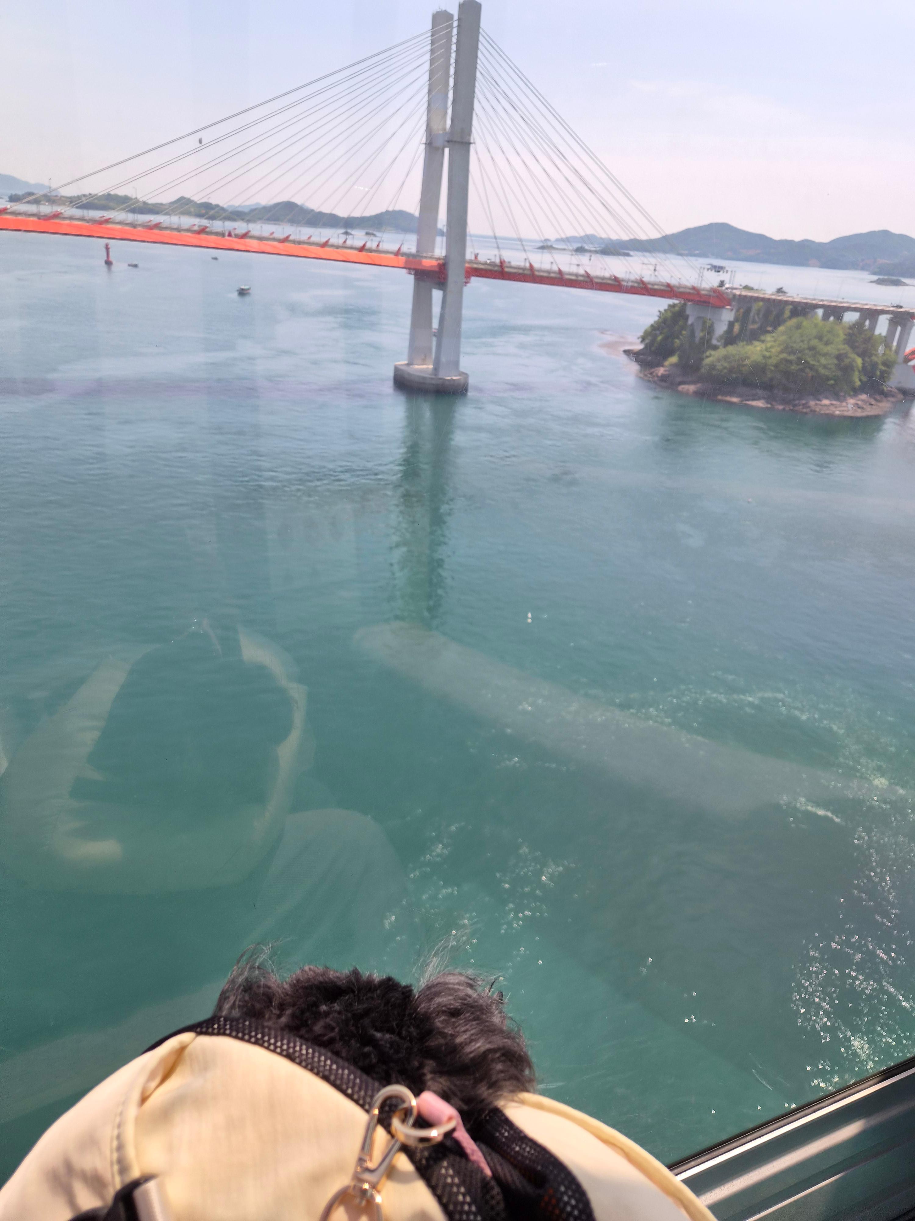 케이블카에서 본 사천바다
