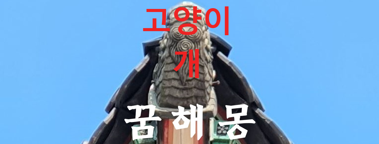 꿈해몽
