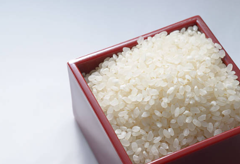 전분의 구조는 amylose와 amylopectin으로 나뉜다