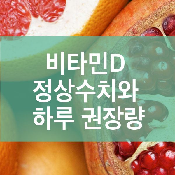 중년 비타민D 정상수치와 하루 권장량 한눈에 보기