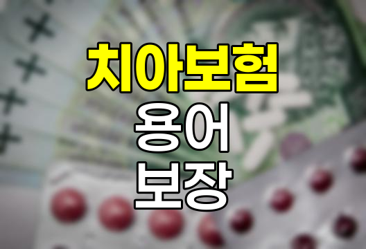 치아보험 용어 및 보장 내용 이해하기